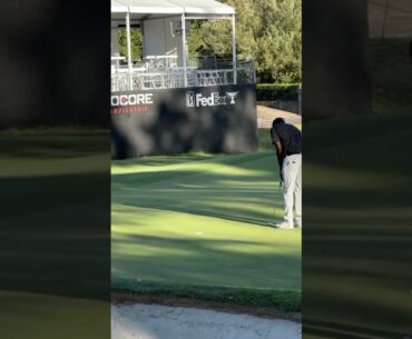 Sahith Theegala Defends His Title at the 2024 Procore Championship - Clutch Moments! #golfshorts