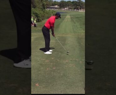Tiger woods stinger with 3 wood #golfswing #tigerwoods #pgatour