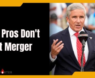 Why Pros Don't Want Merger