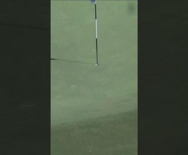 ACE ALERT🚨Scott Vincent makes a hole-in-one on 14 🔥 #livgolf #shorts