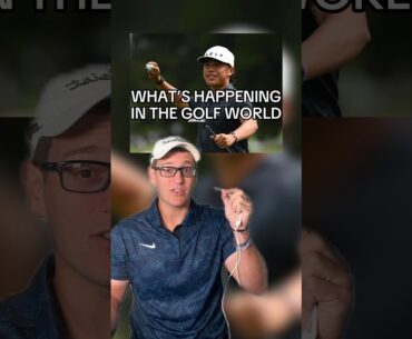 PGA Tour pro struck by golf ball?!?