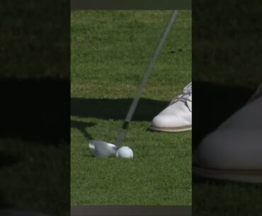 공부터 때려, 깔끔한 앞디봇 데이비스 라일리