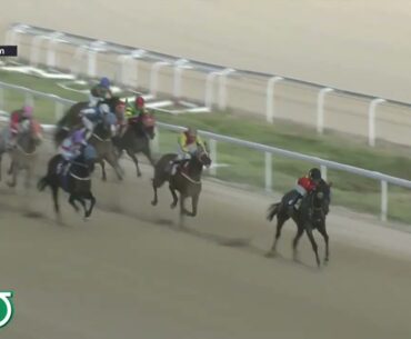 (Busan) 2024.08.30 R4 Class 5 (1300M) Handicap