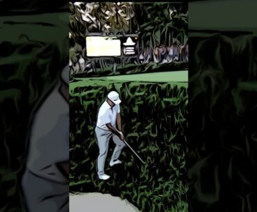 Si Woo Kim Chip In | 2024 Presidents Cup | Epic Golf Shots