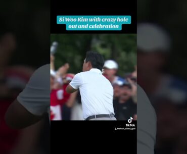 Insane shot from Si Woo #golf #golfswing #golfshot #presidentscup #crazy #golflife #golfer #canada