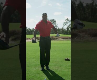Tiger Woods’ First Look at the TaylorMade Qi10 Driver | TaylorMade Canada