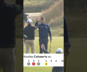 Extremely satisfying ALBATROSS 😍