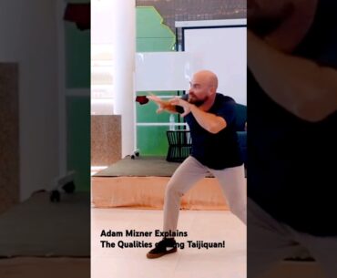 Yang Taijiquan is NOT "Throw Everything You Got At It Fist" - Adam Mizner on How To Yang Taijiquan!