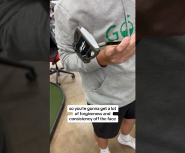Is this the best mallet putter on the market?
