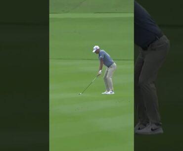 Amazing Albatross Shots! - Part 7