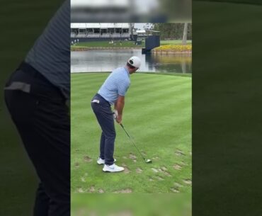 Never forget this Rory Mcllroy moment 😂