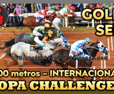 GOLD SEIS : INTERNACIONAL COPA CHALLENGER 2024 - HIPODROMO GRAL. BELGRANO, POSADAS (06-10-2024)