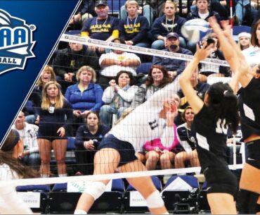 Davidson-Davie vs Richard Bland HD STREAMING | NJCAA College Women's Volleyball