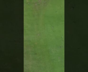 Dustin Johnson Doin It! - Part 4