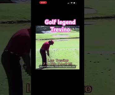 #leetrevino stiffs a golf shot at #themasters with #tomgillisgolfinstruction ! #golf #golflessons