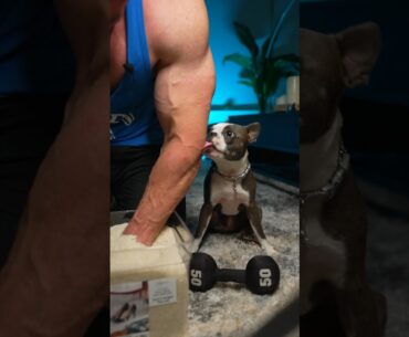 Is this the BEST forearm workout?🤨 #noeldeyzel, #forearms #gym