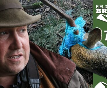 Fieldsports Britain – Roy’s mercy mission