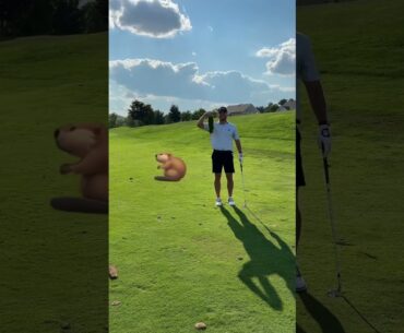 📍Bella Vista Golf Course