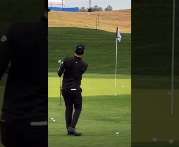 Min Woo Lee Chipping