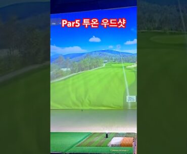 Par5투온 우드샷👍 #golfswing #골프 #골프존 #일상 #스크린골프 #골프연습 #golf #골프장 #골린이 #골프레슨
