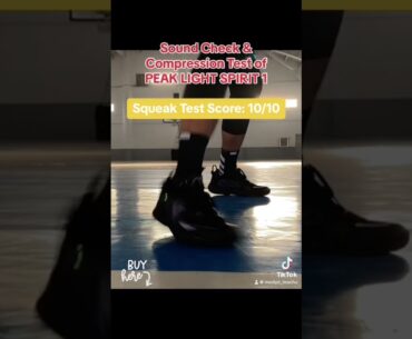 PEAK LIGHT SPIRIT 1 SPIKE CHECK & COMPRESSION TEST