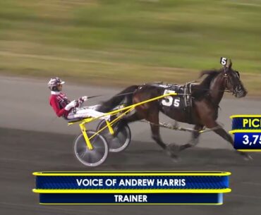 October 19, 2024 - Interview with Andrew Harris on his Breeders Crown Elim entries