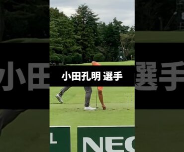 小田孔明選手のアイアンショットのスイング
