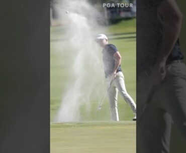 Greatest bunker shot EVER? 👀