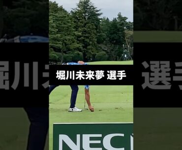 堀川未来夢選手のアイアンショットのスイング