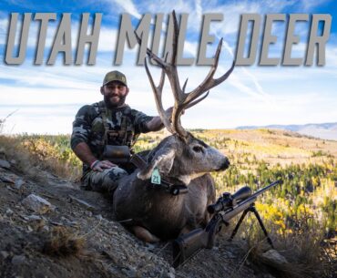 Chad Mendes | Utah High Country Mule Deer