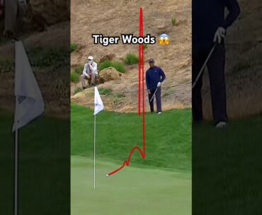 Short game clinic from Tiger Woods 🐅