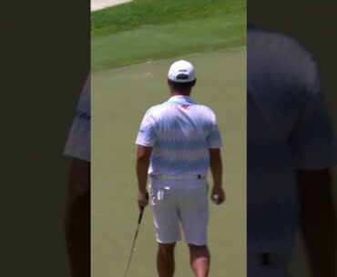 Rolls it right on target ⛳️