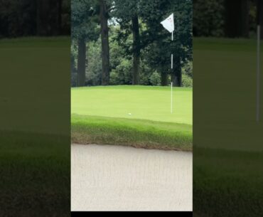 OH STOP IT! Bunker Magic courtesy of Collin Morikawa 🔥  #golf #taylormadegolf  #golfswing #shorts