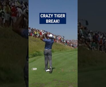 Tiger Woods gets LUCKY! 😱