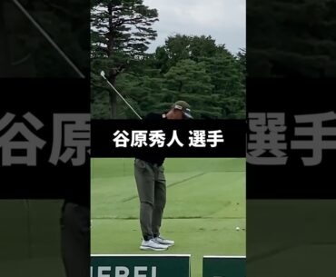 谷原秀人選手のアイアンショットのスイング