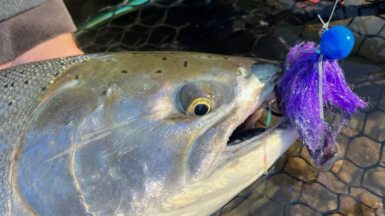 Twitching for Salmon! | Techniques, colors, and strategies to catch more fish! Twitching for Salmon! | Techniques, colors, and strategies to catch more fish!