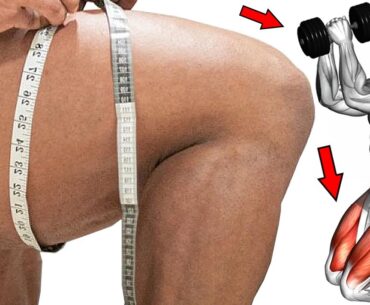 7 Best Effective Exercises To Build A Perfect Leg