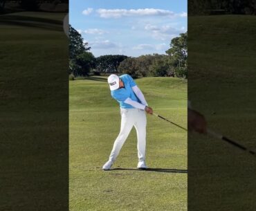 Peffect swing by Pavon