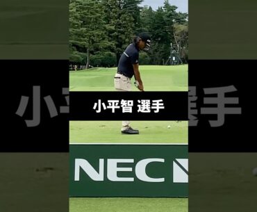 小平智選手のアイアンショットのスイング
