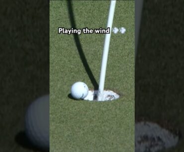 How to utilize the wind 👏