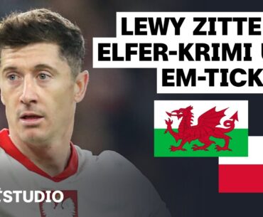 Wales – Polen Highlights | EM-Qualifikation | sportstudio