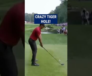 Tiger Wood's INCREDIBLE recovery!😱