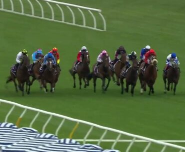 Red Roses Stakes 2024 - AMELITA (3YO SWP G3 F) Group 3 Flemington 7 November