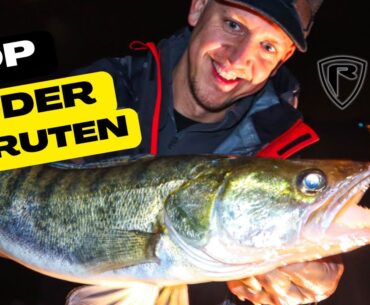 Zanderangeln im Herbst am Rhein | Top Köder und die neuen TR Ruten im Test! 🔴