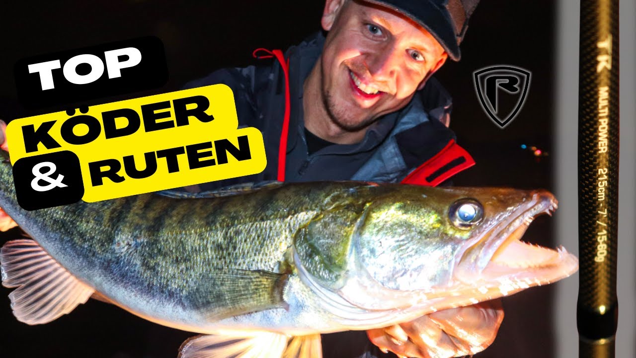 Zanderangeln im Herbst am Rhein | Top Köder und die neuen TR Ruten im Test! 🔴 Zanderangeln im Herbst am Rhein | Top Köder und die neuen TR Ruten im Test! 🔴