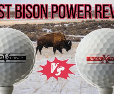 Trust Bison Power V/X Golf Ball Review