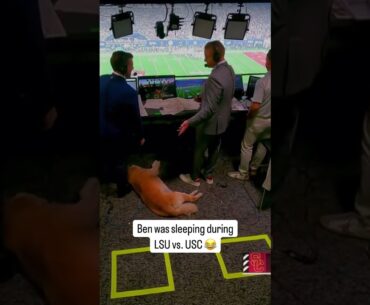 Long weekend for Kirk Herbstreit’s dog, Ben ❤️😂 #shorts