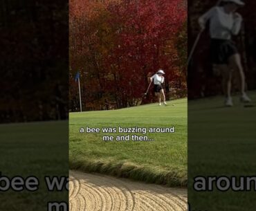 when the girls go golfing & the bees be buzzing #golfgirl #shorts #golf