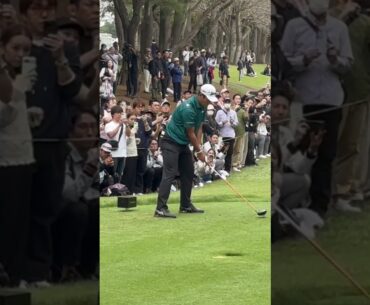 ZOZOチャンピオンシップ2024【松山英樹】後方ドライバーショット #zozochampionship #golf #ゴルフ #松山英樹