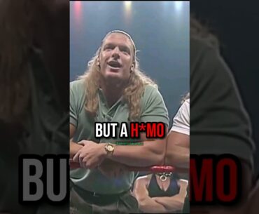 Bret Hart DESTROYS Triple H and HBK #tripleh #therock #wwe #ufc #jre #joerogan #stonecold